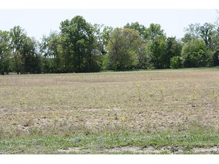 Property photo 13 - LAND AUCTION - 389.5+/- ACRES IN 11 TRACTS IN SULLIVAN COUNTY, INDIANA